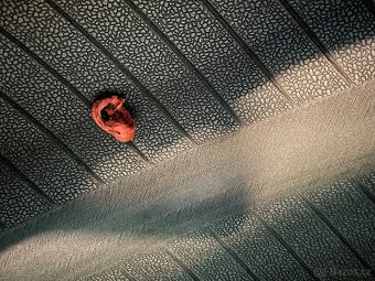 Dunlop SP Sport MAXX 050 235/60 R18 - 7