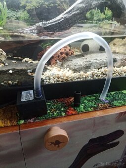 Akvárium, terárium, paludarium - 7