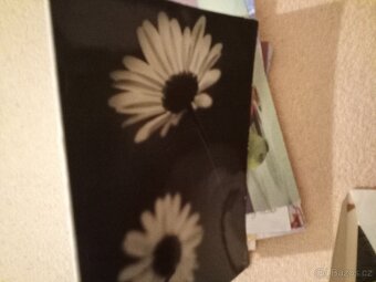 ,stare pohlednice ,kufr atd - 7