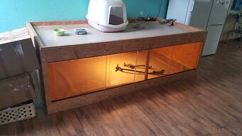 terarium - 7