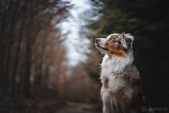 Meopta Meostigmat 65/1,7 Sony E  a další - 7