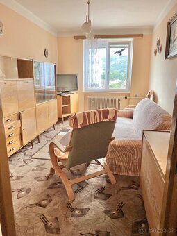 Prodej bytu 2+1 51 m² Hradištní, Karlovy Vary - Tašovice - 7