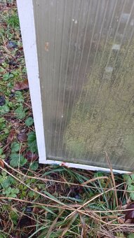 pařenište -skleník - 7