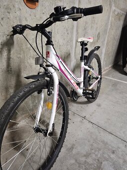 Dívčí kolo 13", CTM 24" - 7