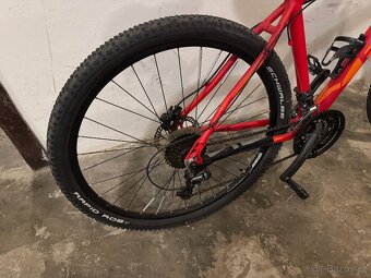 FOCUS Blackforest - 7