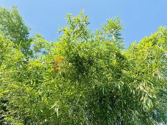 Pozemek k výstavbě  celoročního, rekreačního bydlení, Na Šir - 7