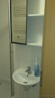 Pronájem bytu 1+kk - 7