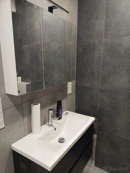 Pronájem kompletně zařízeného bytu 2+kk, 51 m² – Sedlec - 7