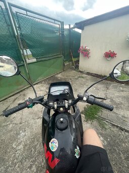 Jawa dandy 50 - 7