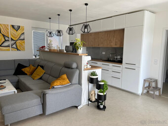 Bungalov v Svojeticich - 7