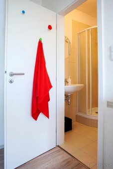 Pronájem bytu 1+kk 40 m² - 7