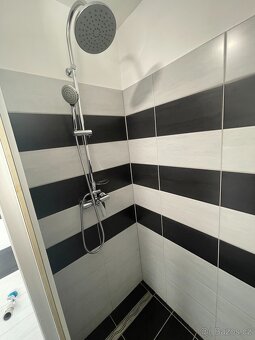 Pronájem 1+1 40m2, Hostomice, po rekonstrukci - 7