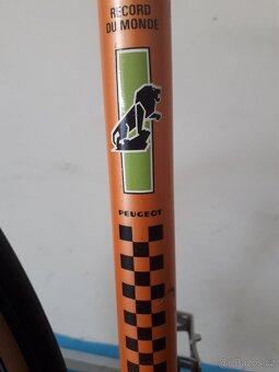 PEUGEOT(1979-80) - 7