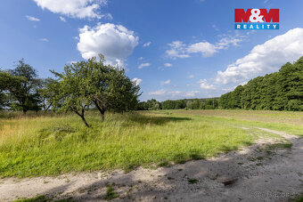 Prodej ovocného sadu v Morašicích - 7