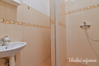 Prodej bytu 1+1 35 m² Nížkovice - 7