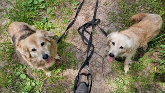VIKY & ZORKA - umazlené babičky čekají na svého anděla - 7