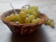 DÁRKOVÉ KOŠÍKY,...OD 35KČ - 7