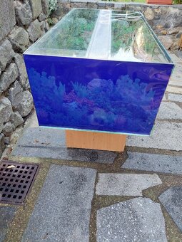 Terárium - želvárium - 7