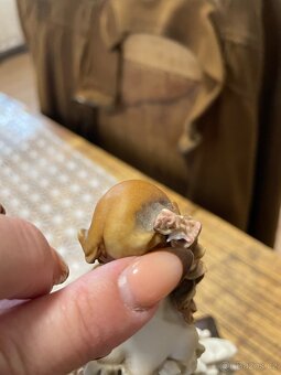 Viktoriánská dáma s květinami - 7