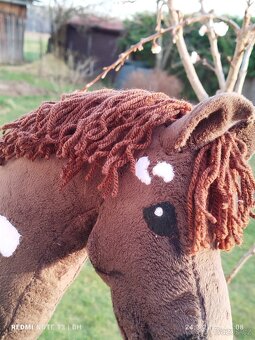 Hobby horse - 7