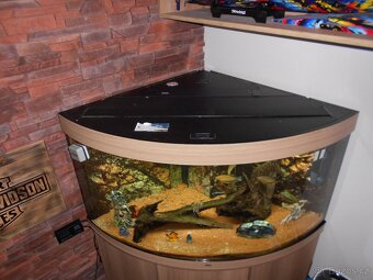 Juwel akvarium - 7