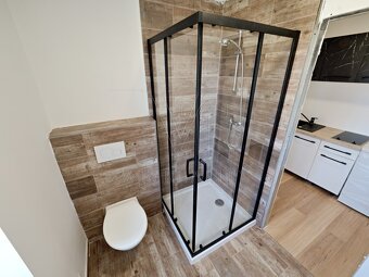 Prodej, nový penzion se třemi byty, obec Zaječ - 7