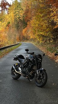 Yamaha mt03 2020 - 7