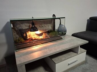 Terárium Indie 80x40x40 cm s 3D pozadím a hlavou Buddhy - 7