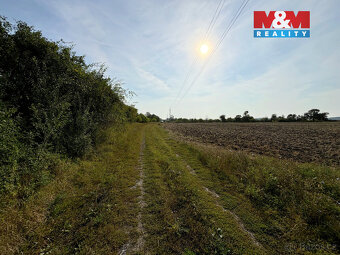 Prodej ovocného sadu, 25918 m², Dolní Nezly u Litoměřic - 7