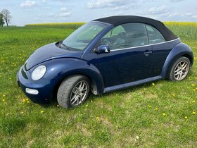 New beetle Cabrio - 7