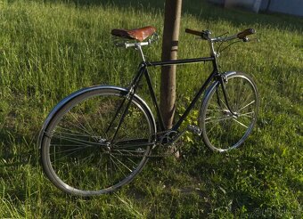 Single speed, Favorit, Městské kolo - 7