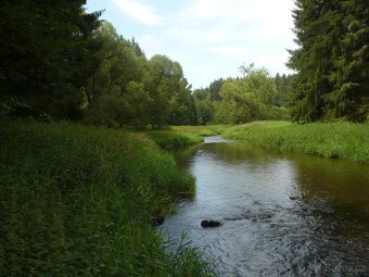 Nivní louka-Klokočov - 7