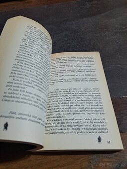 Cimmeřan a ohňodárce , Pergill - 7