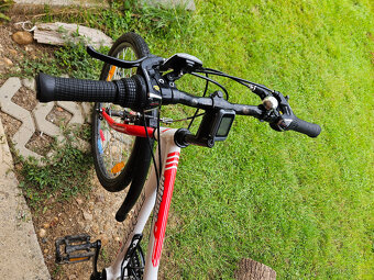 Dětské jízdní kolo Author 24´´ - 7