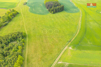 Prodej louky, 10193 m², Lešetice - 7