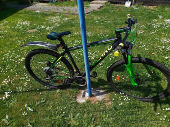 Horske kolo MTB Torpado Icarus T30 - 7