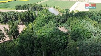 Prodej lesa, 5323 m², Olší u Opařany - 7