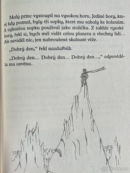 Malý princ - Antoina de Saint-Exupéry - 7