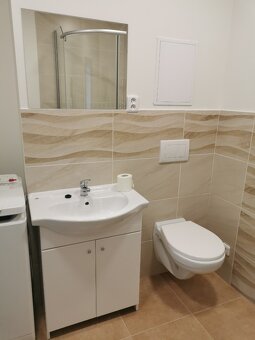 Centrum - Karlovina 1+1 po rekonstrukci, částečně zařízené - 7