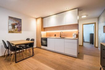 Pronájem bytu 2+1 Kyjov - 7