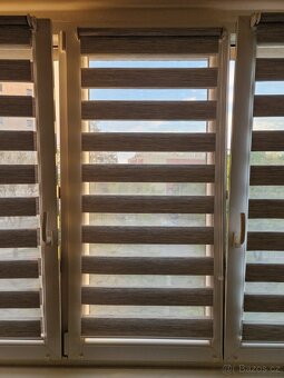 Roleta den a noc nature bříza - 7