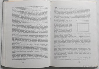 Kniha Knihařství, technologie ruční vazby - 7