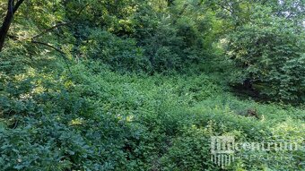 Prodej stavebního pozemku 4996 m2, Hranice - 7