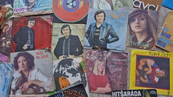 Set Gramofonových desek 94 ks - 7