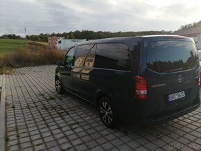 Vito - 7