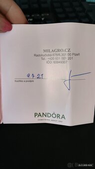 Pandora náramek - 7