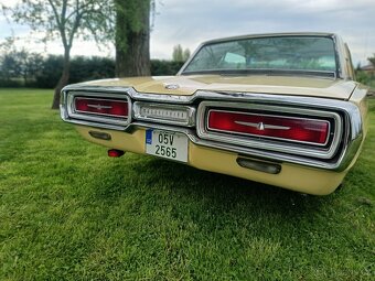 Ford Thunderbird , 1964, původem z Texasu, platné doklady - 7