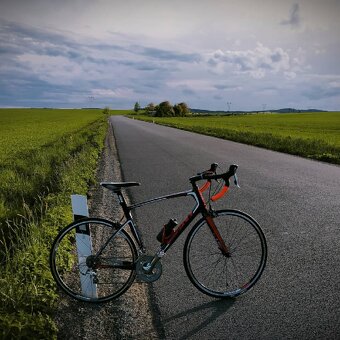 Giant Defy Composite 3 velikost M/L - 7