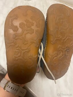Pepino ricosta vel 19 - 7