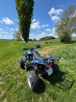 Shineray Stixe 250cm3 - 7